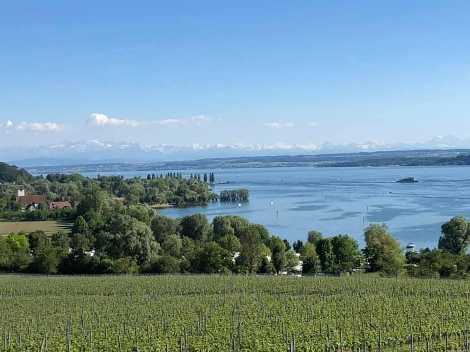 Ferienwohnung "Schmuckstueck Am Tor" Meersburg Exteriér fotografie